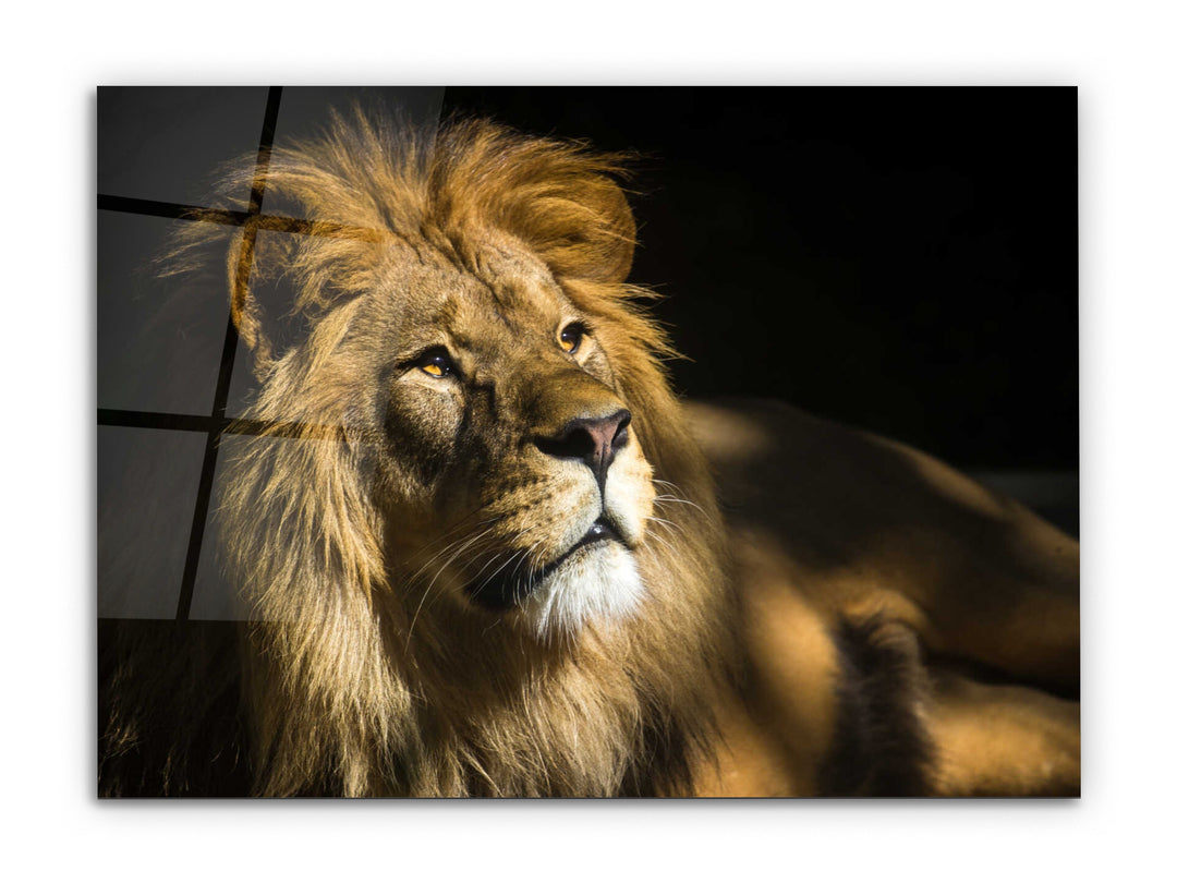 Lion Glass Printing Wall Art-Home Office Wall Painting Decoration